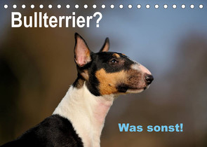 Bullterrier? Was sonst! (Tischkalender 2023 DIN A5 quer) von Janetzek,  Yvonne