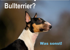 Bullterrier? Was sonst! (Wandkalender 2022 DIN A2 quer) von Janetzek,  Yvonne