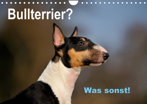 Bullterrier? Was sonst! (Wandkalender 2023 DIN A4 quer) von Janetzek,  Yvonne