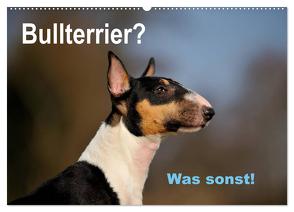 Bullterrier? Was sonst! (Wandkalender 2024 DIN A2 quer), CALVENDO Monatskalender von Janetzek,  Yvonne