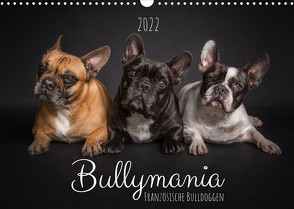Bullymania – Französische Bulldoggen (Wandkalender 2022 DIN A3 quer) von Gareis (SCHNAPP-Schuss),  Silke