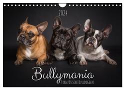 Bullymania – Französische Bulldoggen (Wandkalender 2024 DIN A4 quer), CALVENDO Monatskalender von Gareis (SCHNAPP-Schuss),  Silke