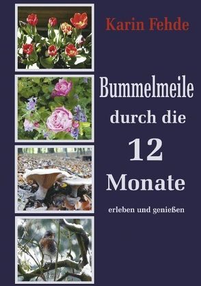 Bummelmeile durch die 12 Monate von Fehde,  Karin