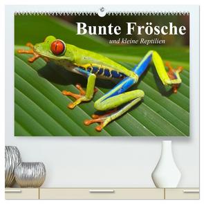 Bunte Frösche und kleine Reptilien (hochwertiger Premium Wandkalender 2024 DIN A2 quer), Kunstdruck in Hochglanz von Stanzer,  Elisabeth