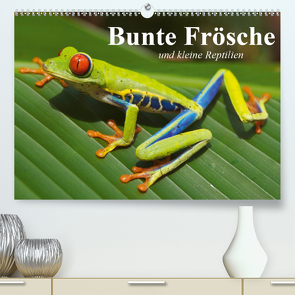 Bunte Frösche und kleine Reptilien (Premium, hochwertiger DIN A2 Wandkalender 2020, Kunstdruck in Hochglanz) von Stanzer,  Elisabeth