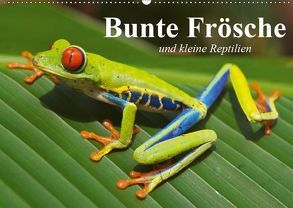 Bunte Frösche und kleine Reptilien (Wandkalender 2019 DIN A2 quer) von Stanzer,  Elisabeth