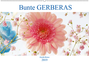 Bunte Gerberas (Wandkalender 2019 DIN A2 quer) von Kruse,  Gisela