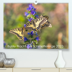 Bunte Pracht der Schmetterlinge (Premium, hochwertiger DIN A2 Wandkalender 2023, Kunstdruck in Hochglanz) von Blickwinkel,  Dany´s