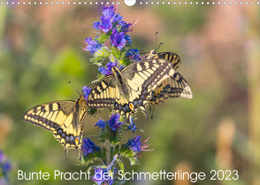 Bunte Pracht der Schmetterlinge (Wandkalender 2023 DIN A3 quer) von Blickwinkel,  Dany´s