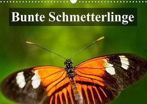 Bunte Schmetterlinge (Wandkalender 2022 DIN A3 quer) von Photography,  Photoga, Wernicke-Marfo,  Gabriela