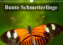 Bunte Schmetterlinge (Wandkalender 2023 DIN A4 quer) von Photography,  Photoga, Wernicke-Marfo,  Gabriela