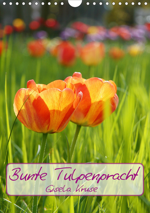 Bunte Tulpenpracht (Wandkalender 2020 DIN A4 hoch) von Kruse,  Gisela