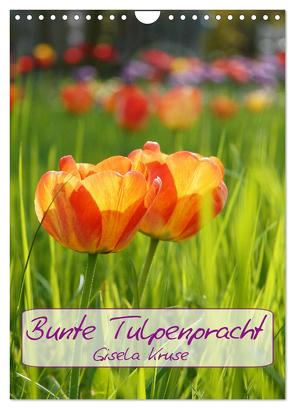 Bunte Tulpenpracht (Wandkalender 2024 DIN A4 hoch), CALVENDO Monatskalender von Kruse,  Gisela