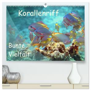Bunte Vielfalt im Korallenriff (hochwertiger Premium Wandkalender 2024 DIN A2 quer), Kunstdruck in Hochglanz von Niemann,  Ute