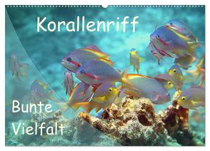 Bunte Vielfalt im Korallenriff (Wandkalender 2024 DIN A2 quer), CALVENDO Monatskalender von Niemann,  Ute