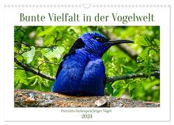 Bunte Vielfalt in der Vogelwelt (Wandkalender 2024 DIN A3 quer), CALVENDO Monatskalender von Kleemann,  Claudia