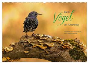 Bunte Vögel am Futterplatz (Wandkalender 2024 DIN A2 quer), CALVENDO Monatskalender von Herzog,  Thomas