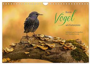 Bunte Vögel am Futterplatz (Wandkalender 2024 DIN A4 quer), CALVENDO Monatskalender von Herzog,  Thomas