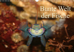 Bunte Welt der Fische (Wandkalender 2023 DIN A3 quer) von Mielewczyk,  Barbara