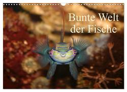 Bunte Welt der Fische (Wandkalender 2024 DIN A3 quer), CALVENDO Monatskalender von Mielewczyk,  Barbara
