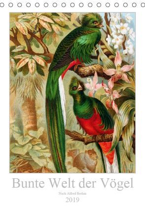 Bunte Welt der Vögel nach Alfred Brehm (Tischkalender 2019 DIN A5 hoch) von Tunabooks/olf