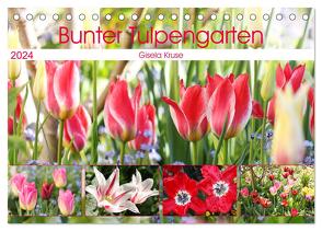 Bunter Tulpengarten (Tischkalender 2024 DIN A5 quer), CALVENDO Monatskalender von Kruse,  Gisela