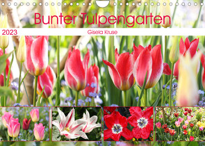 Bunter Tulpengarten (Wandkalender 2023 DIN A4 quer) von Kruse,  Gisela