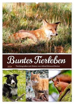 Buntes Tierleben (Wandkalender 2024 DIN A2 hoch), CALVENDO Monatskalender von Löwer,  Sabine