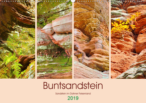 Buntsandstein – Sandstein im Dahner Felsenland (Wandkalender 2019 DIN A2 quer) von LianeM