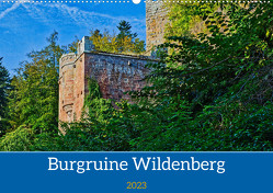 Burg Wildenberg (Wandkalender 2023 DIN A2 quer) von Kreuzer,  Siegfried