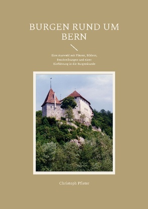 Burgen rund um Bern von Pfister,  Christoph