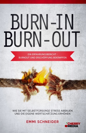 BURN-IN BURN-OUT – Ein Erfahrungsbericht – Burnout und Erschöpfung bekämpfen von Emmi,  Schneider