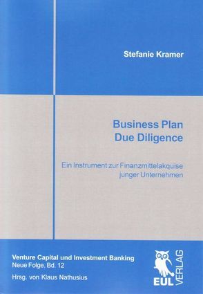 Business Plan Due Diligence von Krämer,  Stefanie