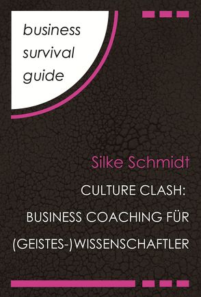 Business Survival Guide: Culture Clash von Schmidt,  Silke