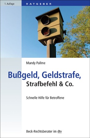 Bußgeld, Geldstrafe, Strafbefehl & Co. von Pallme,  Mandy