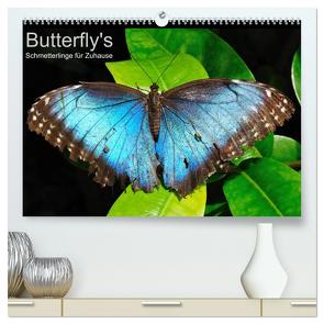 Butterfly’s – Schmetterlinge für Zuhause (hochwertiger Premium Wandkalender 2024 DIN A2 quer), Kunstdruck in Hochglanz von Bade,  Uwe