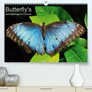 Butterfly’s – Schmetterlinge für Zuhause (Premium, hochwertiger DIN A2 Wandkalender 2021, Kunstdruck in Hochglanz) von Bade,  Uwe