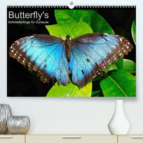 Butterfly’s – Schmetterlinge für Zuhause (Premium, hochwertiger DIN A2 Wandkalender 2023, Kunstdruck in Hochglanz) von Bade,  Uwe