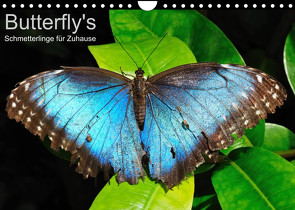 Butterfly’s – Schmetterlinge für Zuhause (Wandkalender 2023 DIN A4 quer) von Bade,  Uwe
