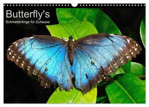 Butterfly’s – Schmetterlinge für Zuhause (Wandkalender 2024 DIN A3 quer), CALVENDO Monatskalender von Bade,  Uwe