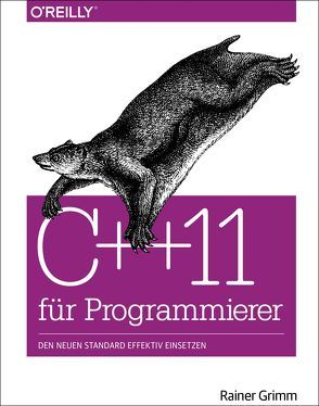 C++11 für Programmierer von Grimm,  Rainer