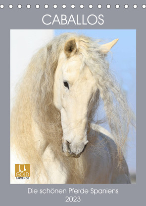 Caballos – Die schönen Pferde Spaniens (Tischkalender 2023 DIN A5 hoch) von Eckerl Tierfotografie,  Petra