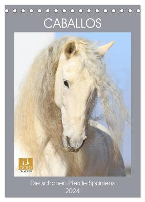 Caballos – Die schönen Pferde Spaniens (Tischkalender 2024 DIN A5 hoch), CALVENDO Monatskalender von Eckerl Tierfotografie,  Petra
