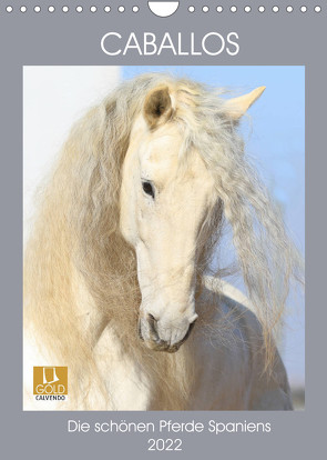 Caballos – Die schönen Pferde Spaniens (Wandkalender 2022 DIN A4 hoch) von Eckerl Tierfotografie,  Petra
