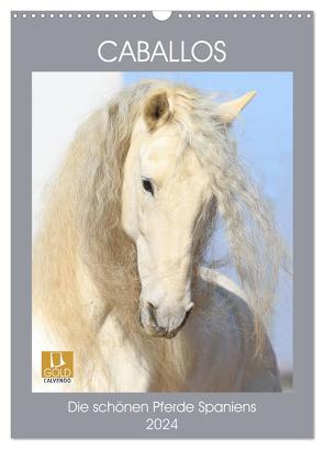 Caballos – Die schönen Pferde Spaniens (Wandkalender 2024 DIN A3 hoch), CALVENDO Monatskalender von Eckerl Tierfotografie,  Petra