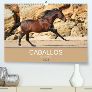 Caballos Spanische Pferde 2023 (Premium, hochwertiger DIN A2 Wandkalender 2023, Kunstdruck in Hochglanz) von Eckerl Tierfotografie,  Petra