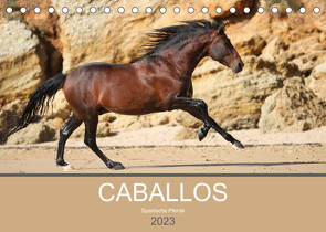 Caballos Spanische Pferde 2023 (Tischkalender 2023 DIN A5 quer) von Eckerl Tierfotografie,  Petra