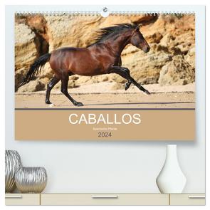 Caballos Spanische Pferde 2024 (hochwertiger Premium Wandkalender 2024 DIN A2 quer), Kunstdruck in Hochglanz von Eckerl Tierfotografie,  Petra