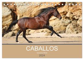 Caballos Spanische Pferde 2024 (Tischkalender 2024 DIN A5 quer), CALVENDO Monatskalender von Eckerl Tierfotografie,  Petra