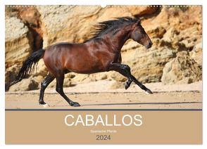Caballos Spanische Pferde 2024 (Wandkalender 2024 DIN A2 quer), CALVENDO Monatskalender von Eckerl Tierfotografie,  Petra